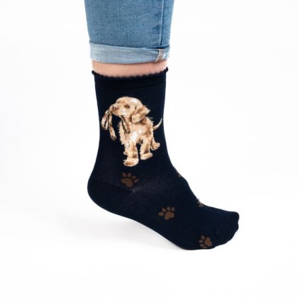 Wrendale Navy Hopeful Labrador Socks