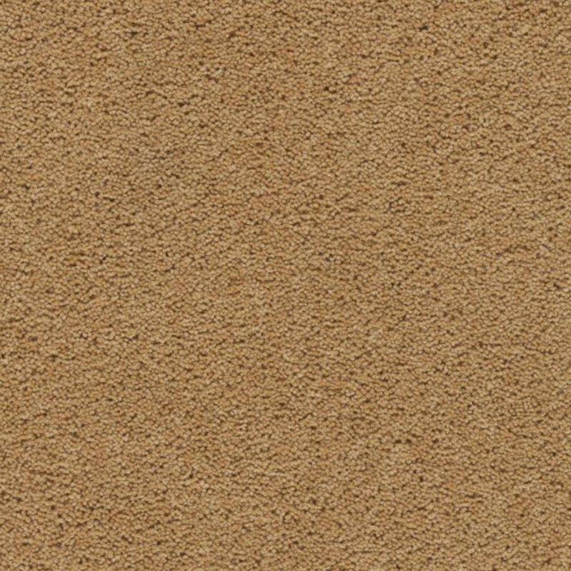 Axminster Devonia Plains In Sunkissed Carpet