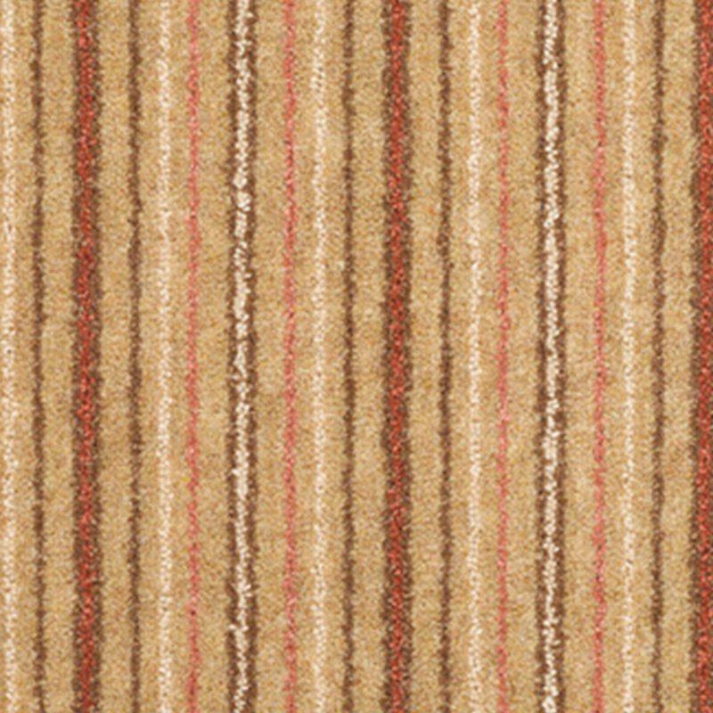 Adam Kasbah Stripe In Cashew Carpet