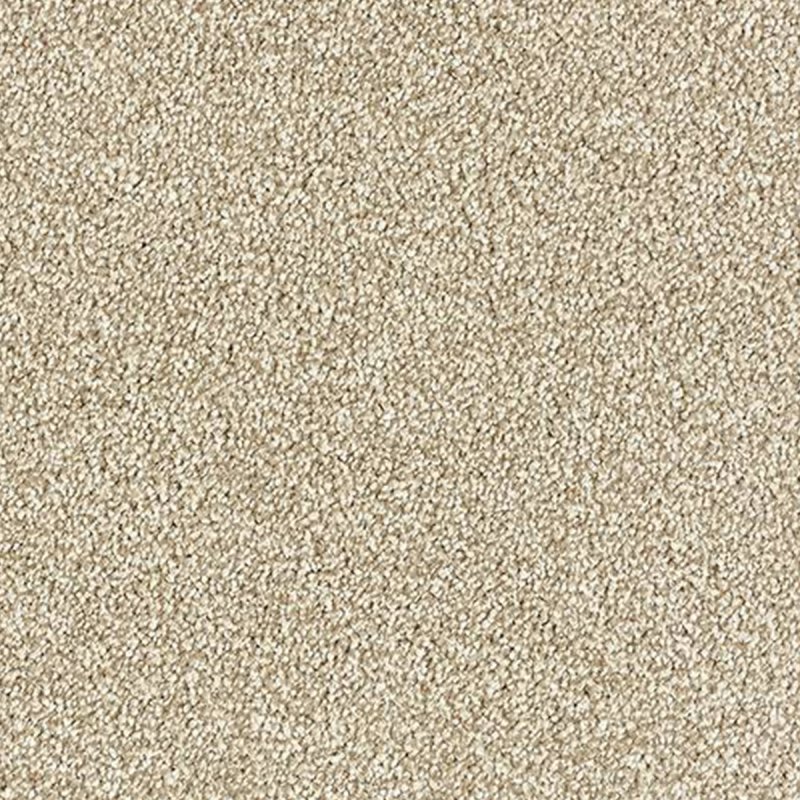Abingdon Stainfree Grande In Ermine Carpet