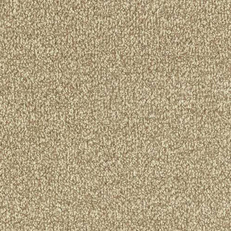 Abingdon Stainfree Twist In Biscotti Carpet
