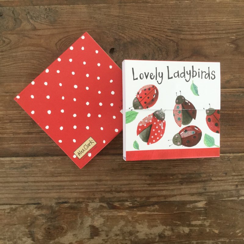 Alex Clark Lovely Ladybirds Magentic Notepad front and back on a wooden table
