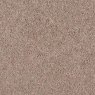 Tranquil Taupe