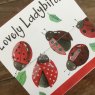 Alex Clark Lovely Ladybirds Magentic Notepad close up front cover on a wooden table