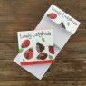 Alex Clark Lovely Ladybirds Magentic Notepad front and inside on a wooden table