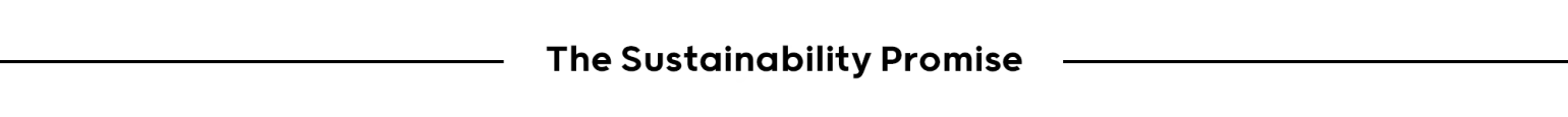 The sustainability promise