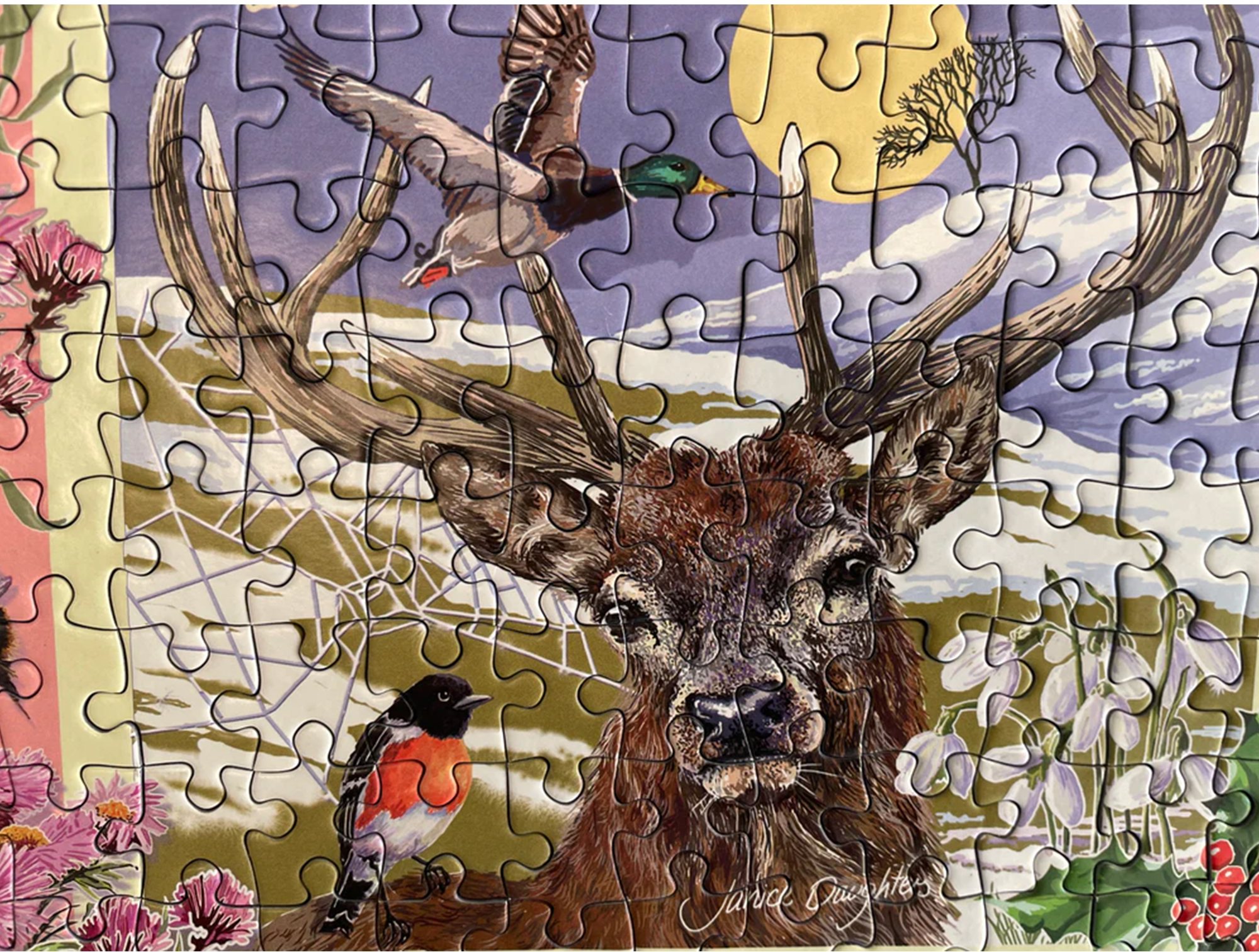 Gibsons Through The Seasons Puzzle 1000 Pezzi: Natura E Fauna Selvatica, Sostenibile, Fatto In UK