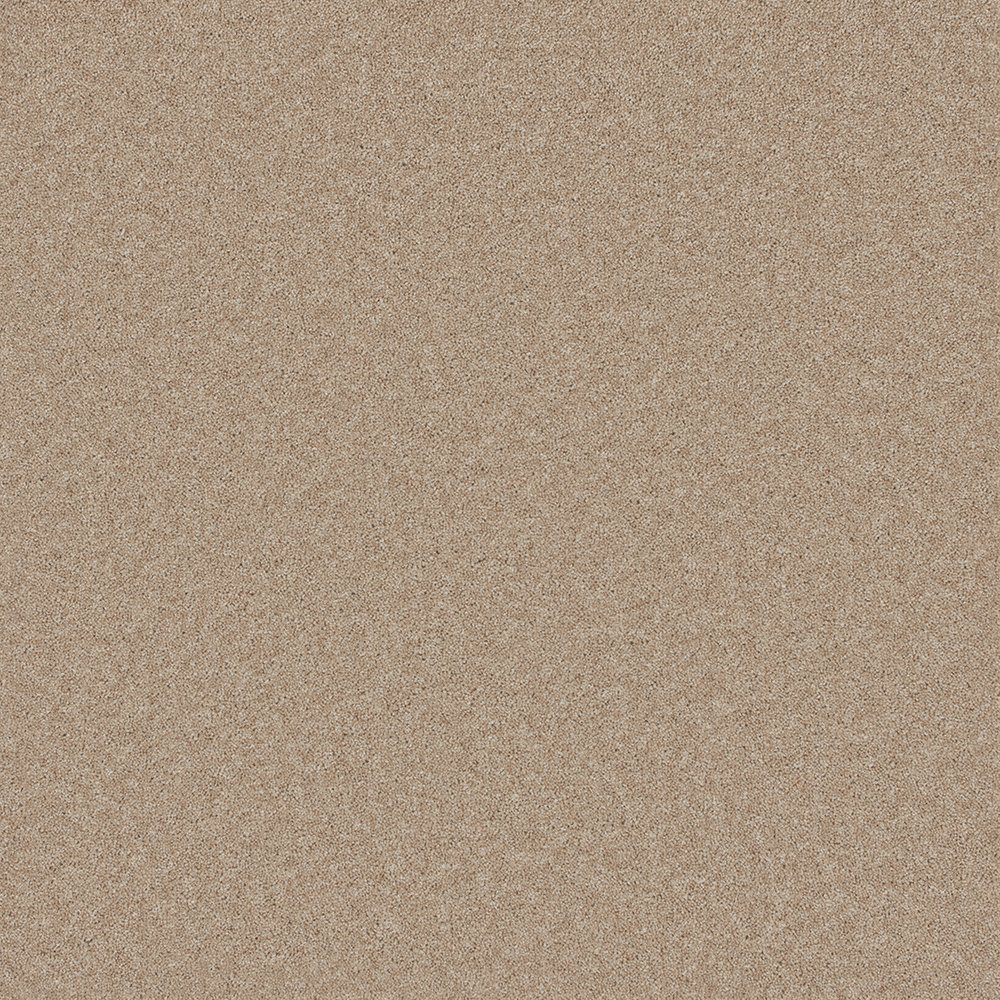 Pretoria Carpet in Toasted Almond Aldiss of Norfolk