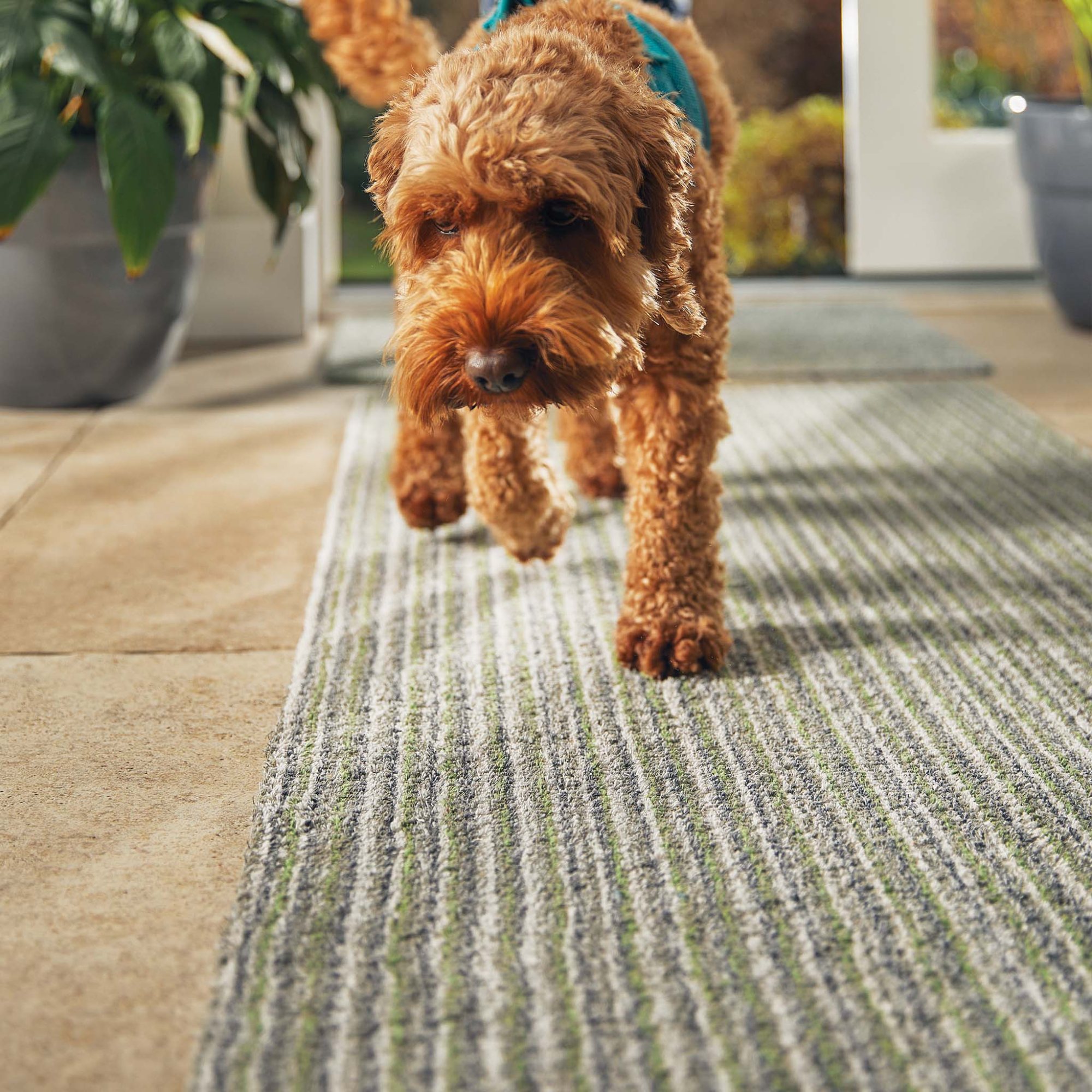 Huf Rug Hug Rug Candy Green | Aldiss of Norfolk