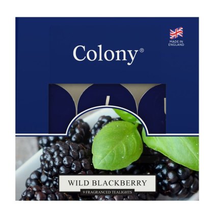 Colony Wild Blackberry Box of 9 Tealights