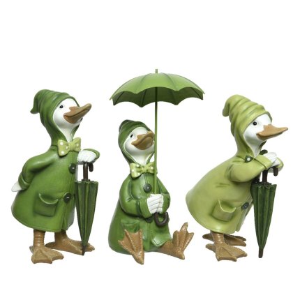 Duck with Umbrella Assorted