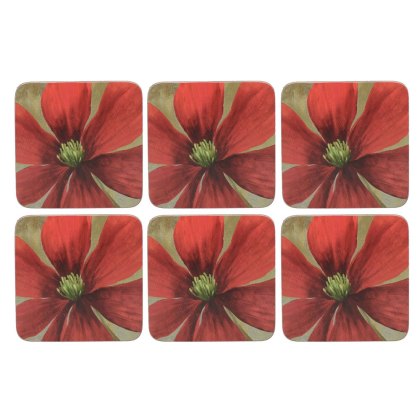 Creative Tops Flower Study Pack of 6 Premium Coasters