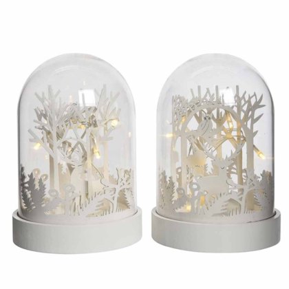 LED Scenery Cloche Assorted