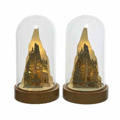 LED Cloche with Scenery Assorted