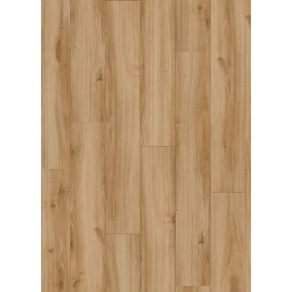 Roots in Classic Oak 24837 Roots in Classic Oak 24837