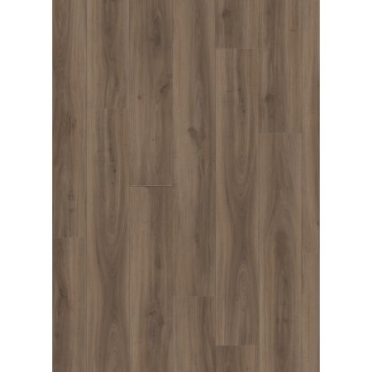 Roots in Classic Oak 24864 Roots in Classic Oak 24864