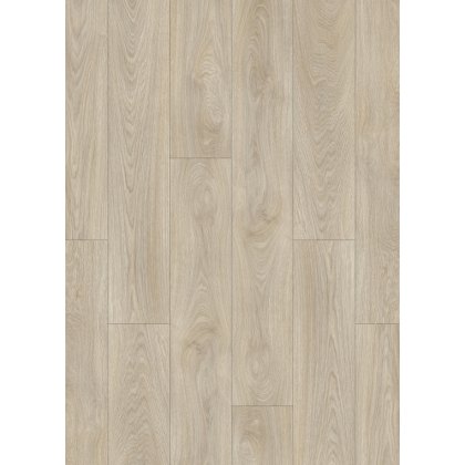 Roots in Laurel Oak 51222 Roots in Laurel Oak 51222