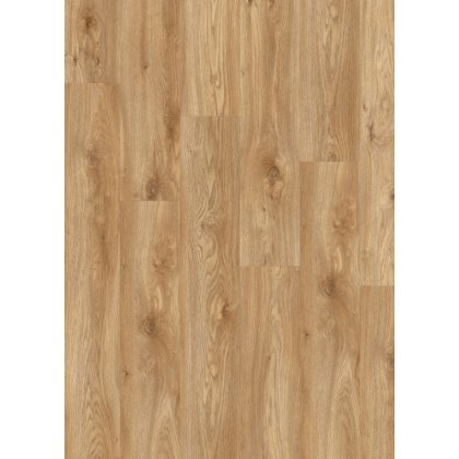 Roots in Sierra Oak 58346 Roots in Sierra Oak 58346