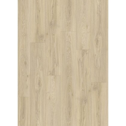 Roots in Blackjack Oak 22215 Roots in Blackjack Oak 22215
