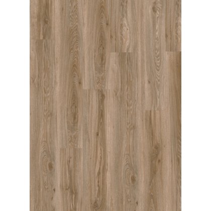 Roots in Blackjack Oak 22229 Roots in Blackjack Oak 22229