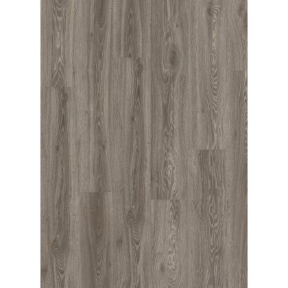 Roots in Blackjack Oak 22937 Roots in Blackjack Oak 22937