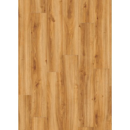 Roots in Classic Oak 24438