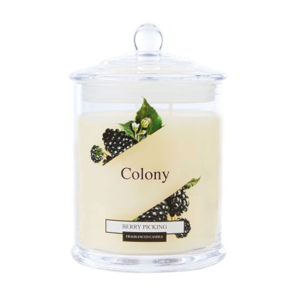 Colony Berry Picking Large Jar Candle