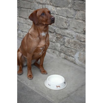 Woof! Dog Bowl