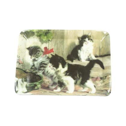 Eddingtons Kitties Meeting Scatter Tray