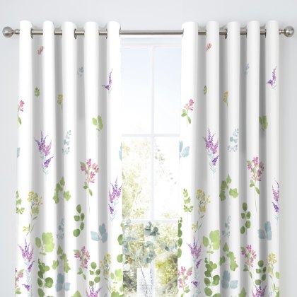 Dreams & Drapes Renee Curtains 66x72