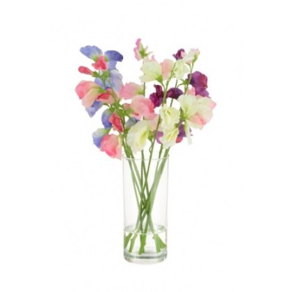 Sweet Peas in a Cylinder Vase