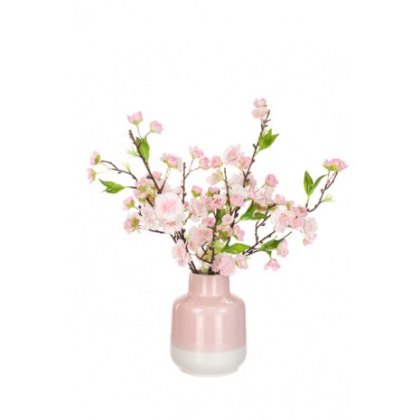Blossom in pink and white vase