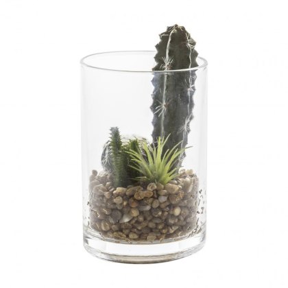 Cactus Garden in a glass