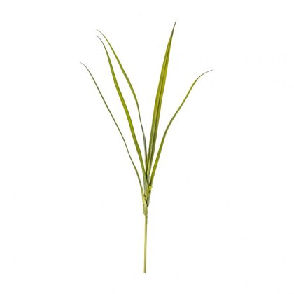 Yucca Leaf Spray Yucca Leaf Spray
