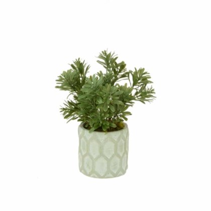 Floralsilk Potted Plant Assorted