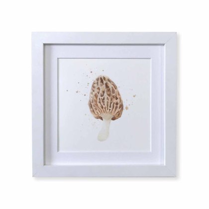 Kate Of Kensington Mushrooms Morel Framed 8' Print Kate Of Kensington Mushrooms Morel Framed 8' Print