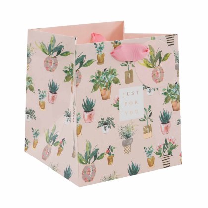 Glick beautiful plants giftbag