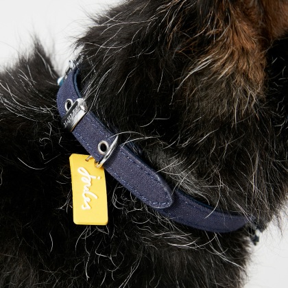 Joules Nautical Collar and Neckerchief