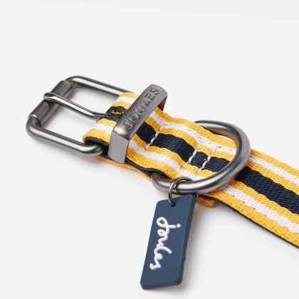 Joules Yellow and Navy Coastal Collar