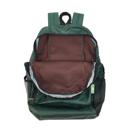 Eco Chic Green Classic Backpack