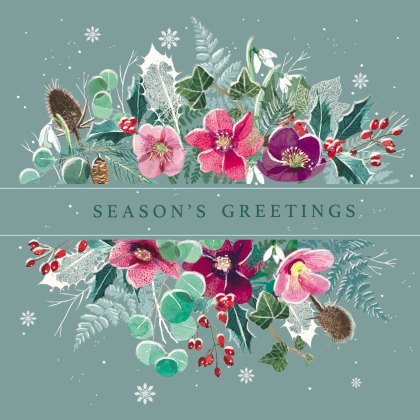 Paper House Robins with Berries & Foliage Boxed Cards