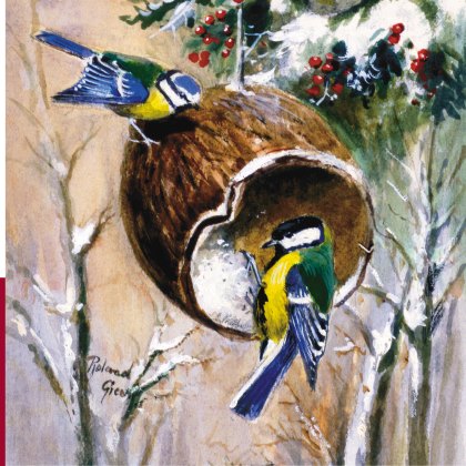 Medici Robins & Blue Tits Boxed Cards