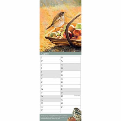 Otter House Garden Birds by Pollyanna Pickering Slim Calendar