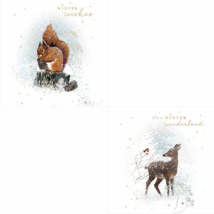 Otter House Winter Wonder RSPB Luxury Xmas Cards