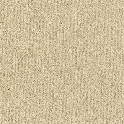 Arena Plus In Cool Beige Carpet Arena Plus In Cool Beige Carpet