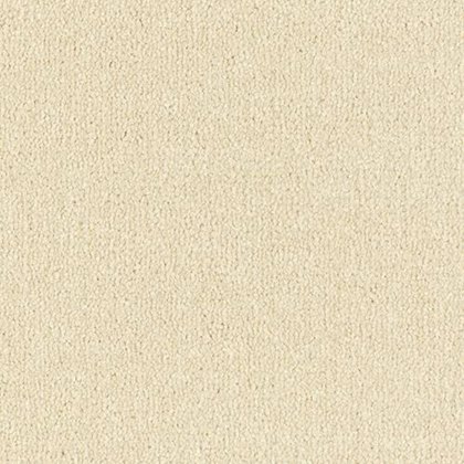 Arena Plus In Devon Cream Carpet Arena Plus In Devon Cream Carpet