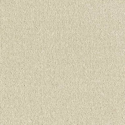 Arena Plus In Dove Grey Carpet Arena Plus In Dove Grey Carpet