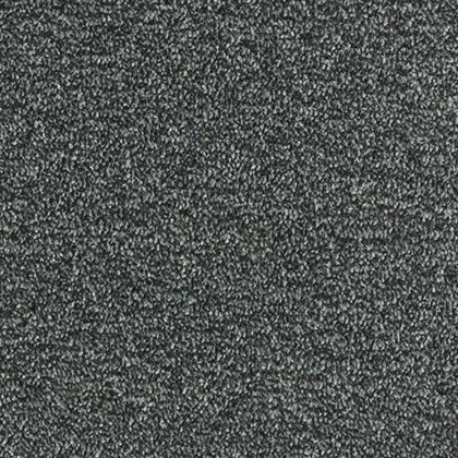 Arena Plus In Nickel Carpet Arena Plus In Nickel Carpet