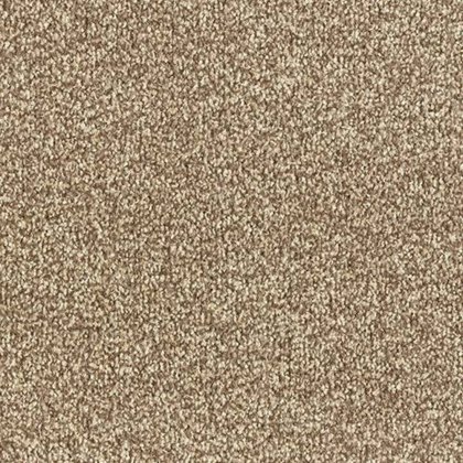 Arena Plus In Oak Carpet Arena Plus In Oak Carpet