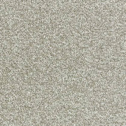 Arena Plus In Platinum Carpet Arena Plus In Platinum Carpet